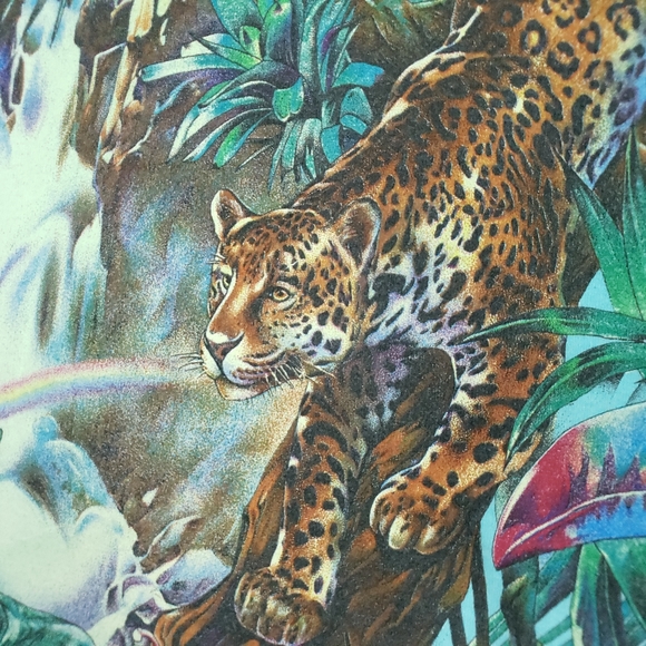 Vintage 90s Nature Habitat Moody Gardens Rainforest Animal Galveston Wrap-around - Picture 4 of 16
